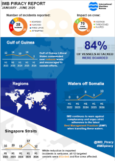 IMB Privacy Report graphic.